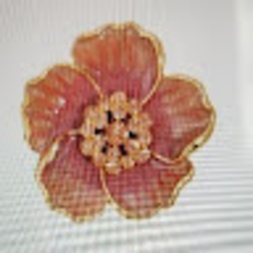 Meet your Posher, Zeno